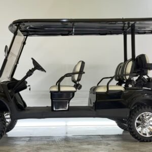 2019 Advanced EV AEV 6 Series